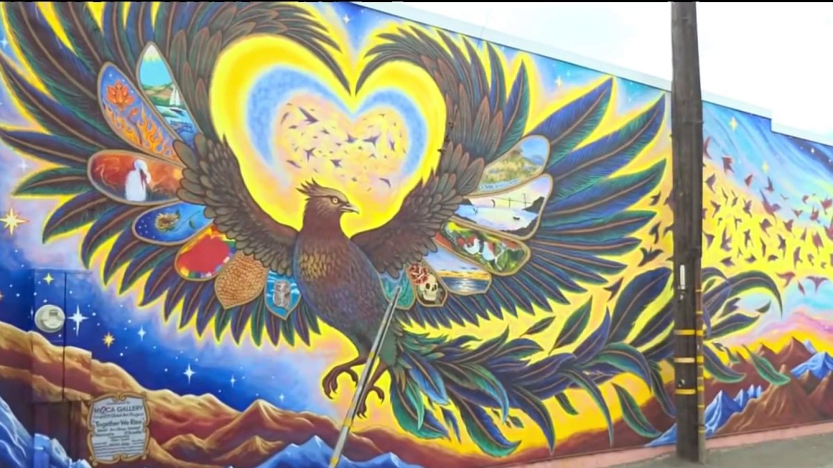 Vallejo man arrested in vandalism of Benicia diversity mural