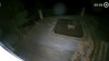 Coyotes moving into backyards in San Jose's Willow Glen, residents say