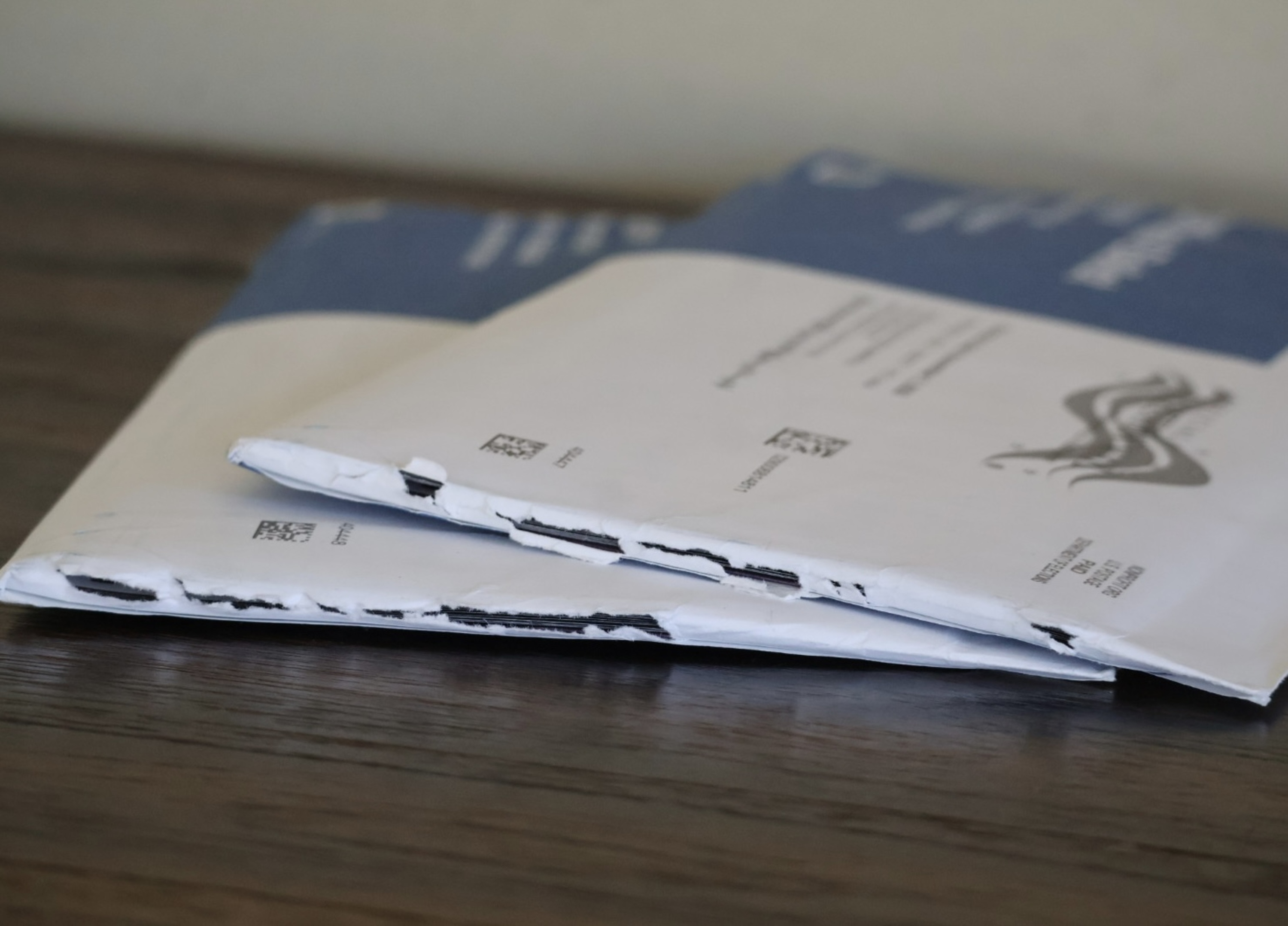 Some San Francisco voters see tears in vote-by-mail ballot envelopes
