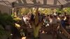 Rare corpse flower set to bloom at UC Santa Cruz