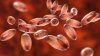 Russian lab worker dies of suspected plague as 200 enter medical observation