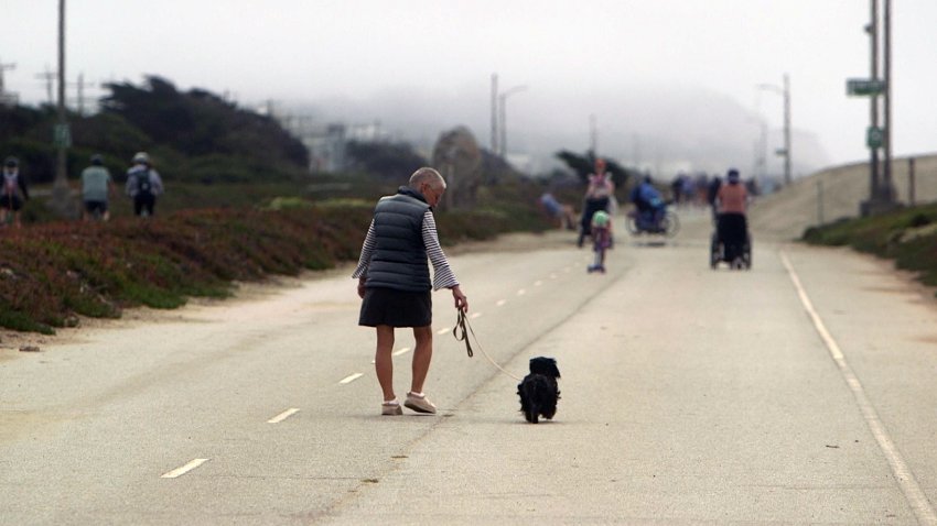 Visitors recreate at San Francisco’s Sunset Dunes Park .