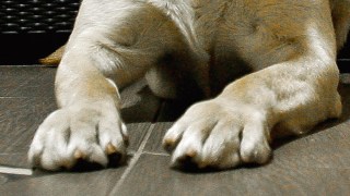 Better Sleep = Better Grades