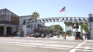 Animal Rights Activists Plan to Disrupt Free July 4 Event in Oakland