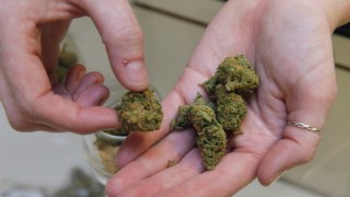 Berkeley Receives Proposal for Senior Citizen-Focused Marijuana Dispensary