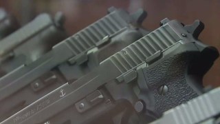 Assemblymember to Reintroduce Gun Restraining Order Bill After Bar Massacre