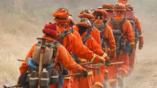 Investigation Sought On Using Violent Inmates to Fight Fires in California