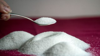 Alameda Officials Warn Dog Owners About Dangerous Sugar Substitute