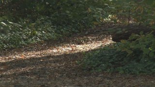 Stockton Families Relieved as 3 Hikers Found Safe After Going Missing