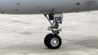 Alaska Airlines Plane Strikes, Kills Deer on Runway, Sonoma County Airport Officials Say