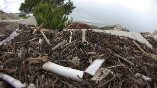 Smoking, Even Medical Marijuana, Banned in East Bay Parks To Protect Animals Eds: APNewsNow.