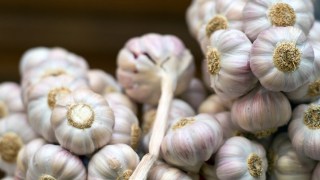 Two Bay Area Chefs to Compete in Annual Gilroy Garlic Festival Cook-Off