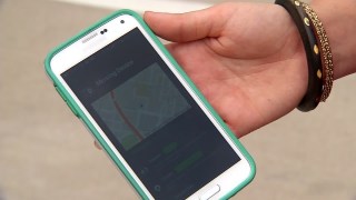 Golden Gate Park Named Among Riskiest Tourist Spots for Mobile Security in U.S.: Report