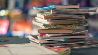 California Panel Updates History Teaching Guide