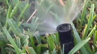 California's Declining Water Conservation Leveling Off: State Board