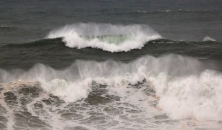 Battle of the Bays: The Backstory You Need