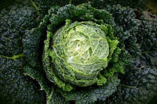 New Conference Brings Together Food and Tech