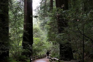 Mountain View's Environmental and Sustainability Task Force Announces Open Forum for Public to Discuss Environmental Impacts