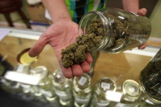 Cannabis Rush: Marijuana's Story in California