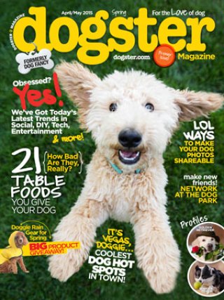 As One Local Magazine Folds, Another Launches