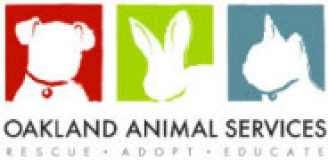 Dog Days of September Adoption Event