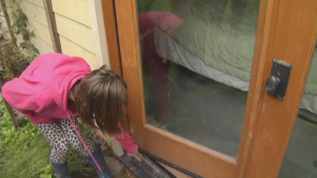 Mountain Lion Snatches Small Dog from Pescadero Home: Sheriff ...