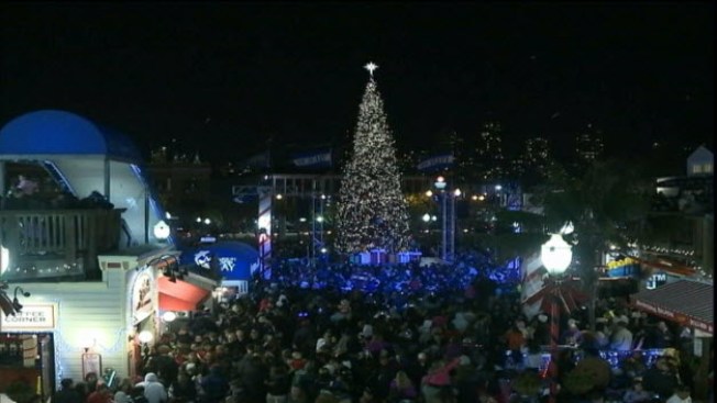 pier 39 holds tree lighting ceremony to welcome holiday pier 39 holds tree lighting ceremony to welcome holiday
