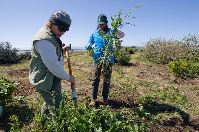 Earth Day Restoration and Cleanup April 13